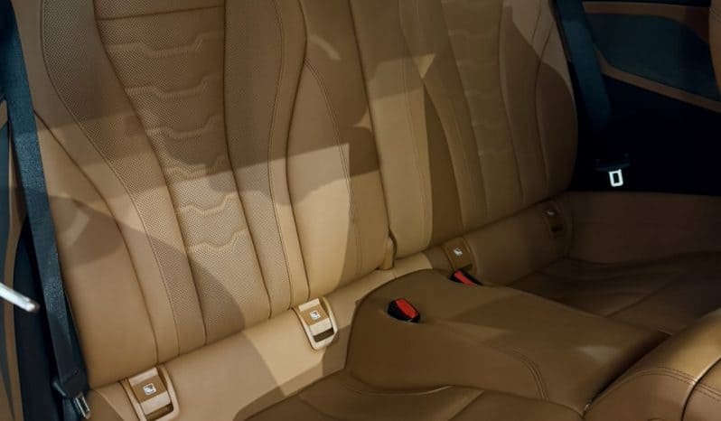 
								BMW Série 8 G15 Coupé M850i xDrive 4.4 i V8 530 cv Carbon Core full									