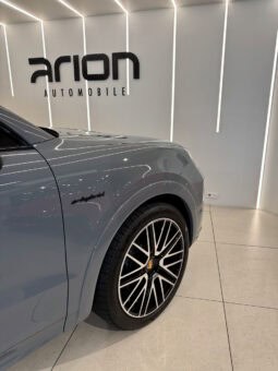 
										PORSCHE CAYENNE III (2) 3.0 V6 E-HYBRID 470 TIPTRONIC BVA full									